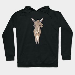 MAJORERA DONKEY Hoodie